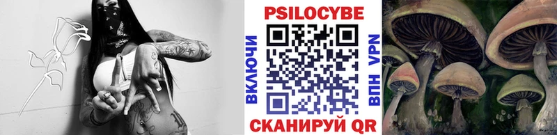 Псилоцибиновые грибы Psilocybine cubensis  цены   blacksprut вход  Любим 